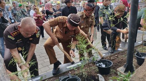 Puluhan Pohon Yang Tumbuh Gunung Ciremai Ditanam Di Kajene Forest Di