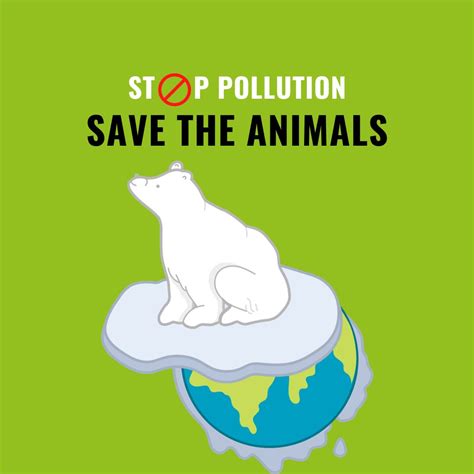 Air pollution is already happening. How to save animals in the future ...