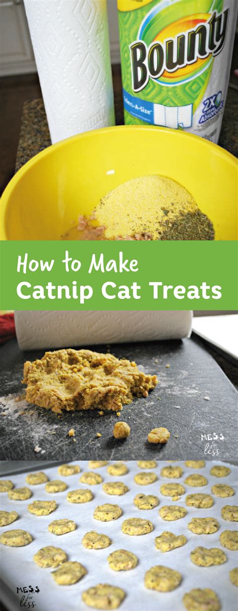 Give Your Cat A Snack Theyll Love And Get Your Pet In On The Homemade