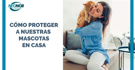 Cómo proteger a las mascotas en casa Neonob