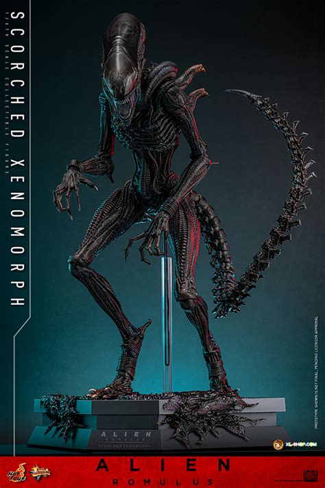 Hot Toys MMS Alien Romulus Th Scale Scorched Xenomorph Collectible Figure Ship Q