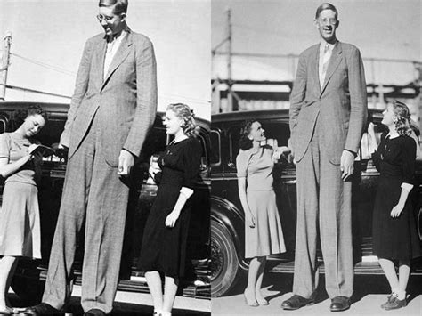 The Worlds Tallest 811” Man Robert Wadlow Roldschoolcool