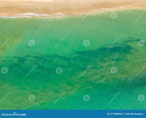 Calm Tropical Ocean Waves On The Sand Stock Photo Image Of Ocean