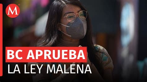 Es Oficial Ley Malena Es Aprobada En Baja California YouTube