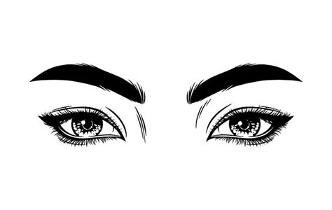 Premium Vector Beautiful Female Eyes With Eyebrows And Long Eyelashes Sexy Look Fashion