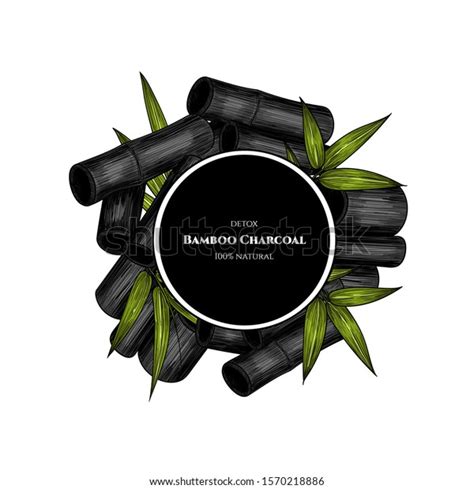 Vector Frame Bamboo Charcoal Hand Drawn Stock Vector Royalty Free