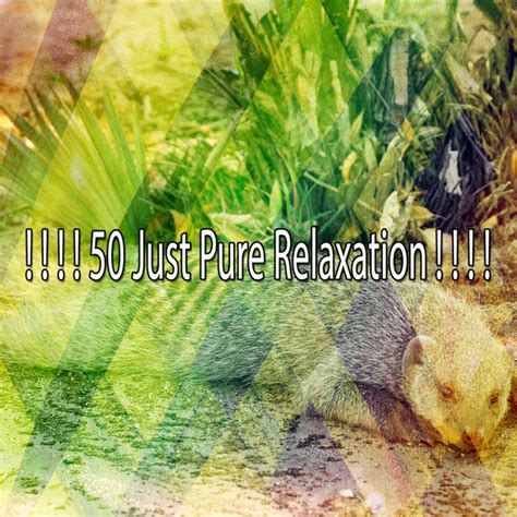 50 Just Pure Relaxation Album By Loopable Sounds For Babies