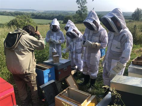 Les ruches sont arrivées à lESAT et les abeilles sont déjà au travail