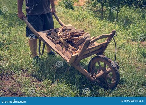 Bois De Chauffage Sur La Vieille Brouette En Bois Image Stock Image