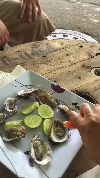 Oysters In Puerto Rico Youtube