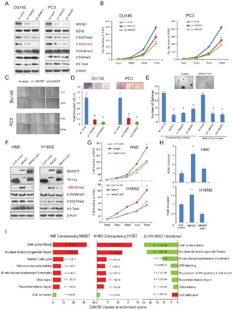 Figure From Characterization Of The Ezh Mmset Histone