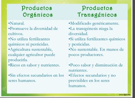 Cuadro Comparativo De Alimentos Transgenicos Y Organicos Es Hot Sex Picture