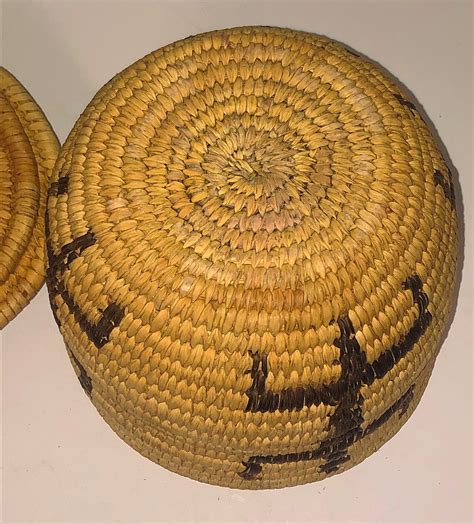 Papagopima Lizard Pictorial Basket With Lid Dn Etsy