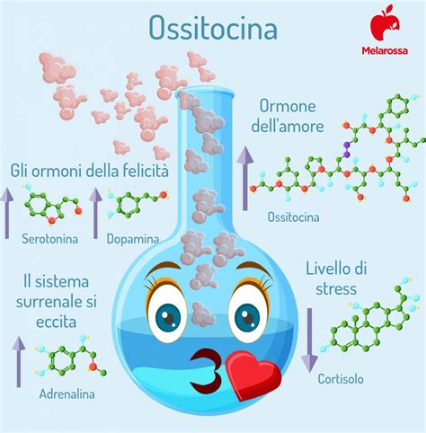 Ossitocina che cosè a cosa serve e come stimolare l ormone dell amore