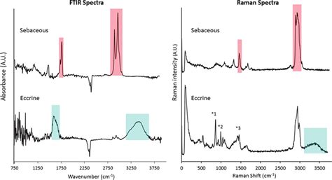 Comparison Of Transmission SR FTIR And Confocal Raman Spectra Of