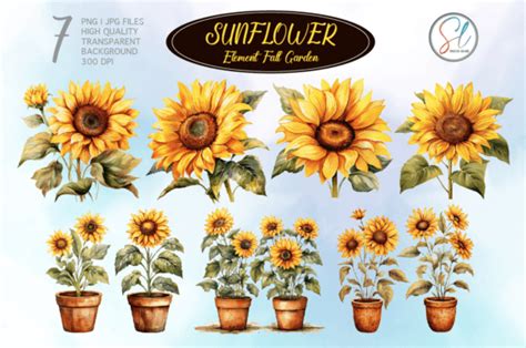 Sunflower Watercolor Sublimation Bundles Graphic By Spacelek · Creative Fabrica