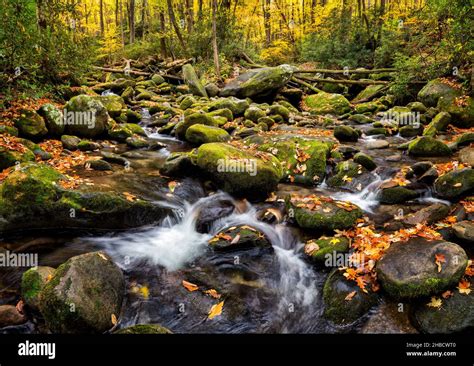 Usa Tennessee Gatlinburg Great Smoky Mountains National Park