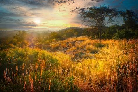 6+ Free Matopo Hills & Zimbabwe Images - Pixabay