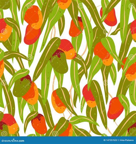 Seamless Pattern Of Mango Fruits And Leaves Stock Vector Illustration