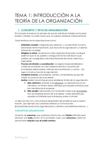 Apuntes Teoria De La Organizacion Pdf