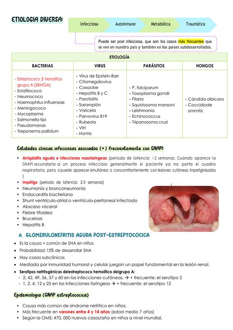 SOLUTION 11 S Ndrome Nefr Tico Y Glomerulonefritis Aguda Studypool