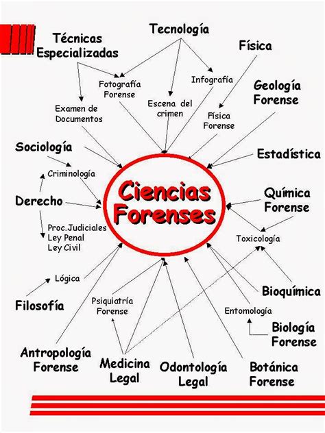 Ciencias Forenses Enfermer A Forense Espa A