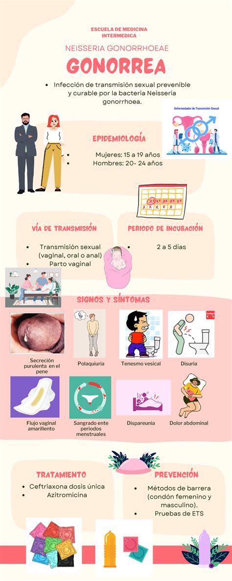 Neisseria Gonorrhoeae Epidemiolog A Tratamiento V A De Transmisi N