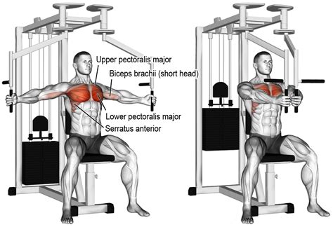 Chest Fly Machine Form | Guide vs Video