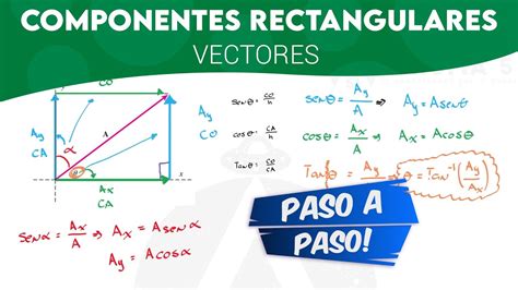 Descomposición rectangular de vectores YouTube