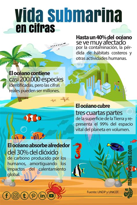 Vida Submarina En Cifras Objetivos De Desarrollo Sostenible