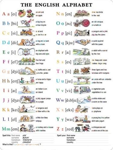 Alfabet Angielski The English Alphabet Plansza Dwustronna Eureka Pomoce