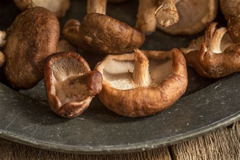 Best Substitute For Shiitake Mushroom The Roaming Fork