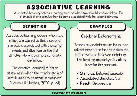 15 Schema Examples In Learning Psychology 2024 – NBKomputer