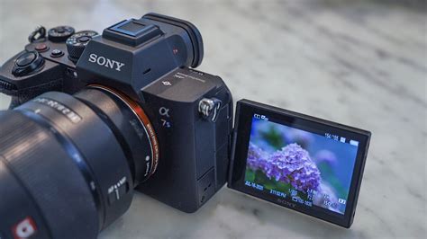 Sony S A7S III Has 4K 120p Video And A Fully Articulating Display