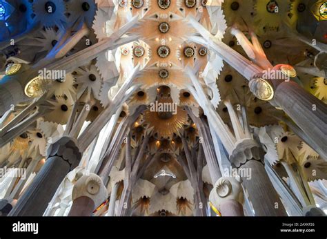 Low Angle Interior View Of Vaulting Sagrada Familia Barcelona