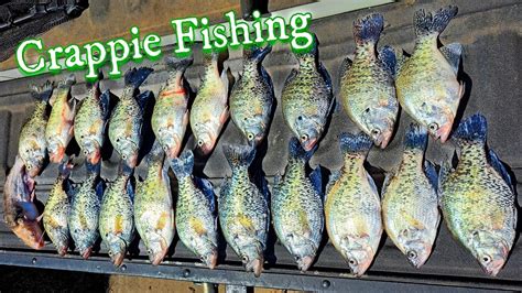 Crappie Fishing At Lake Chicot Great Day Of Fishing But I Ruined Most