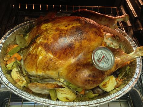 Roasting My First Turkey: How To Clean, Brine, Roast A Turkey And Make ...