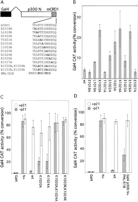 Figure From P Transcriptional Repression Is Mediated By Sumo