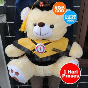 Jual Boneka Wisuda Teddy Bear Jumbo Ukuran L Hadiah Kado Graduation