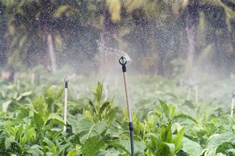 Irrigation: Methods, Advantages and Disadvantages | Hastom Nigeria 2025