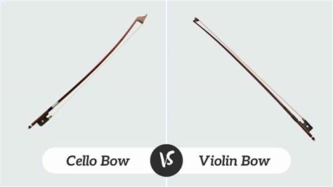 Violin Bow Vs Cello Bow What Are The Differences Cmuse