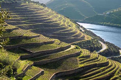 Guide To Portuguese Wine 10 Best Wines Regions Styles