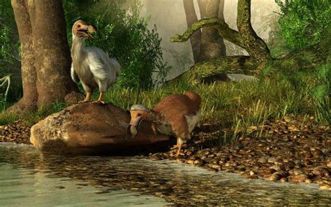 10 Fascinating Dodo Bird Facts