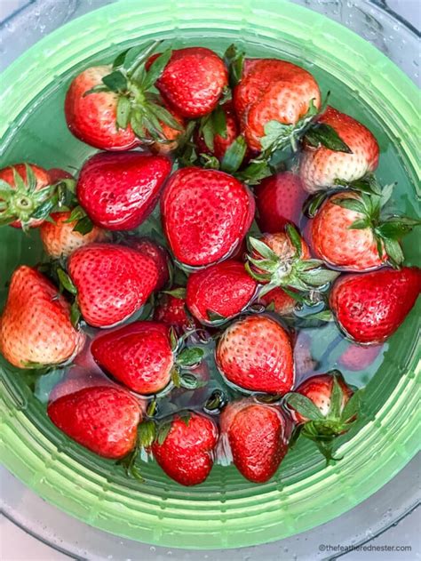 Strawberry Blueberry Salad - The Feathered Nester