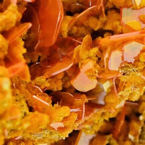 Wulfenite Cristalli Su Matrice 325 Cm 50 G Catawiki