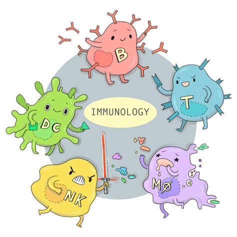 Types Of Immune System With Diagram Microbiology