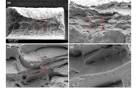 Scanning Electron Microscope SEM Images Of A Fracture Surface Of