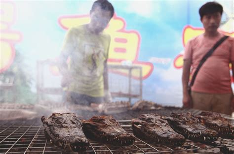 Рецепт приготовления мяса крокодила с чесноком и в маринаде