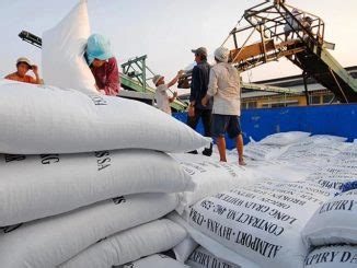 Thai Rice Exports Expected To Tally 9m Tonnes Infoarroz Org