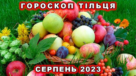 Гороскоп Тільця серпень 2023. - YouTube